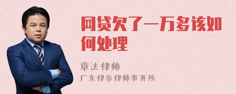 網(wǎng)貸欠了一萬多該如何處理