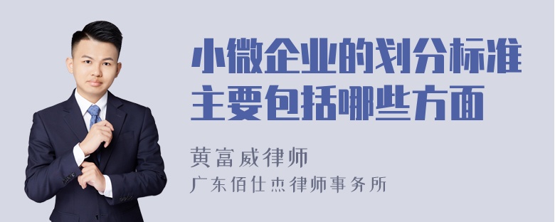 小微企业的划分标准主要包括哪些方面