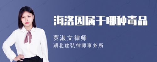 海洛因?qū)儆谀姆N毒品