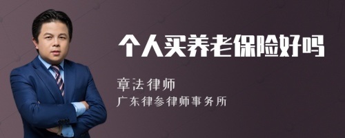 個(gè)人買養(yǎng)老保險(xiǎn)好嗎