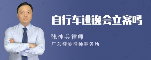 自行車逃逸會立案嗎