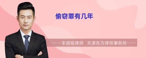 偷竊罪有幾年