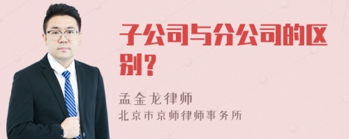 子公司与分公司的区别？