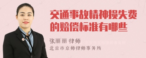 交通事故精神損失費的賠償標準有哪些