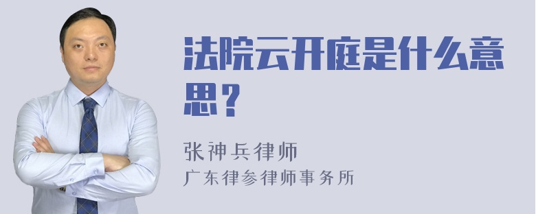 法院云開庭是什么意思？