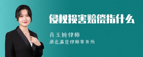 侵權(quán)損害賠償指什么
