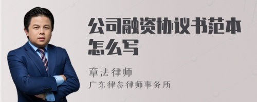 公司融資協(xié)議書范本怎么寫