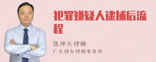 犯罪嫌疑人逮捕后流程