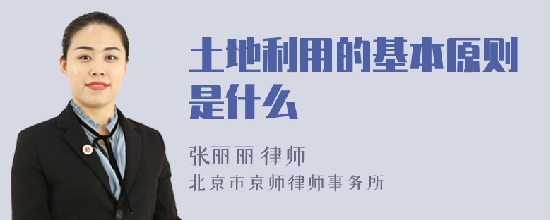 土地利用的基本原則是什么