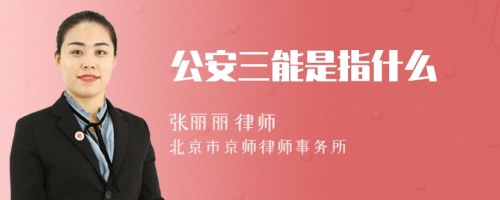 公安三能是指什么