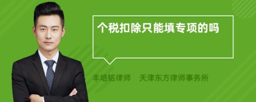 個稅扣除只能填專項的嗎