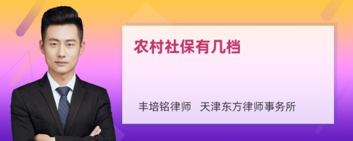 農(nóng)村社保有幾檔