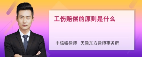 工傷賠償?shù)脑瓌t是什么