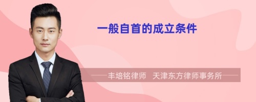 一般自首的成立條件