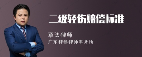 二級輕傷賠償標準