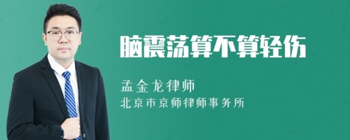 腦震蕩算不算輕傷