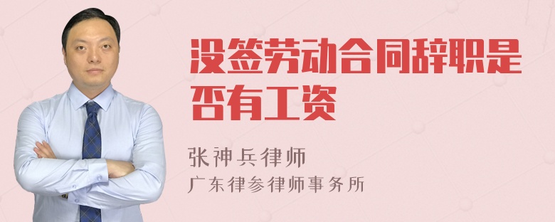 沒(méi)簽勞動(dòng)合同辭職是否有工資