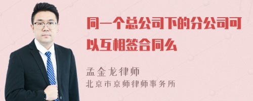 同一个总公司下的分公司可以互相签合同么