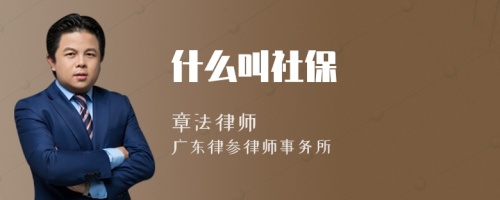 什么叫社保