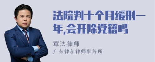 法院判十个月缓刑一年,会开除党籍吗