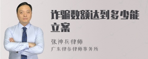 詐騙數(shù)額達(dá)到多少能立案