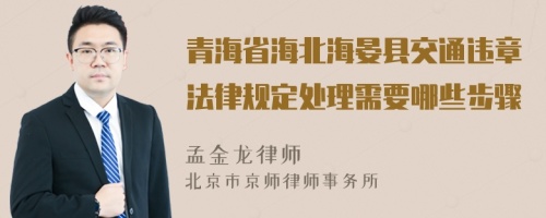 青海省海北海晏县交通违章法律规定处理需要哪些步骤