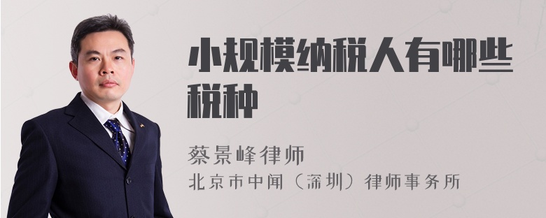 小規(guī)模納稅人有哪些稅種
