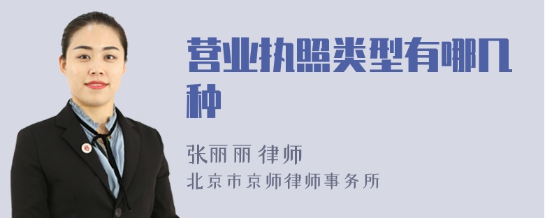 營業(yè)執(zhí)照類型有哪幾種