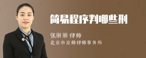 簡易程序判哪些刑