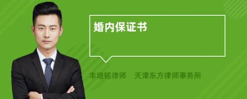 婚內(nèi)保證書(shū)