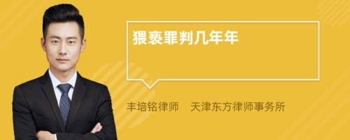 猥褻罪判幾年年