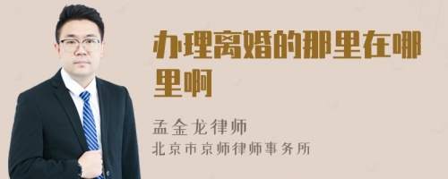 辦理離婚的那里在哪里啊