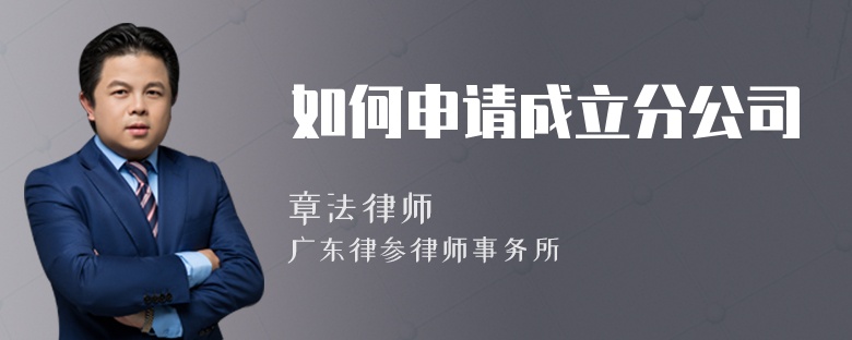 如何申請(qǐng)成立分公司