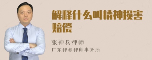 解釋什么叫精神損害賠償