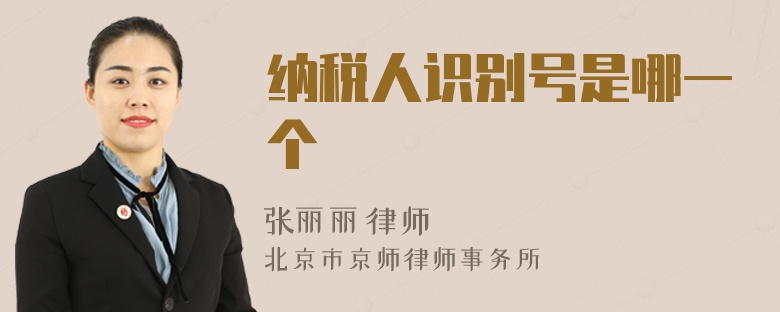 納稅人識(shí)別號(hào)是哪一個(gè)