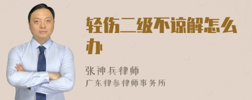 輕傷二級不諒解怎么辦
