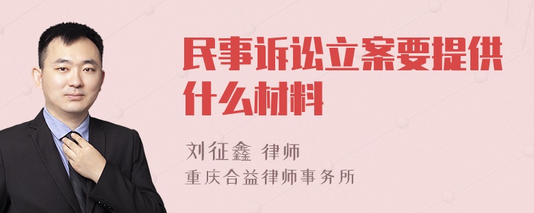民事訴訟立案要提供什么材料