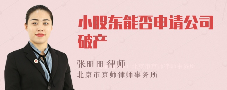 小股東能否申請(qǐng)公司破產(chǎn)