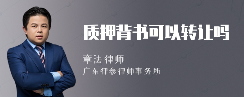 質(zhì)押背書可以轉(zhuǎn)讓嗎