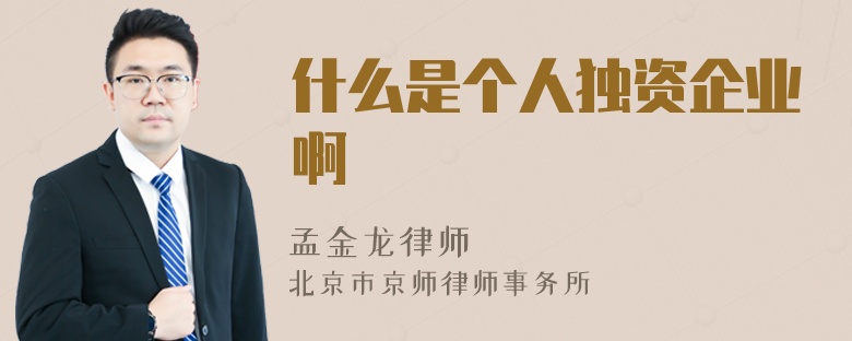 什么是個人獨資企業(yè)啊