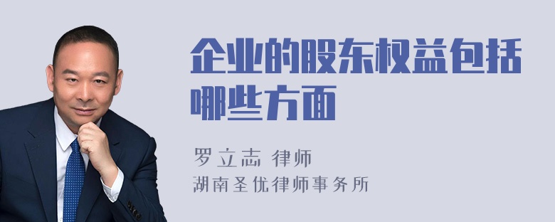 企业的股东权益包括哪些方面