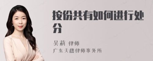 按份共有如何進行處分