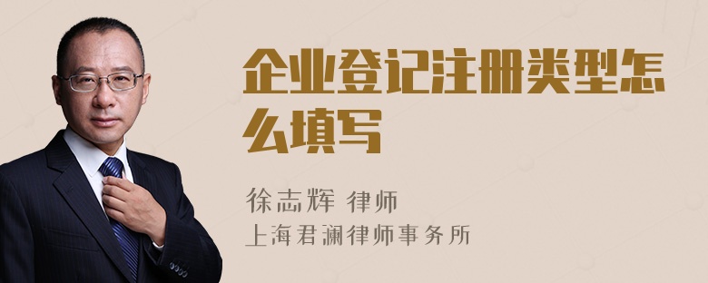 企業(yè)登記注冊類型怎么填寫