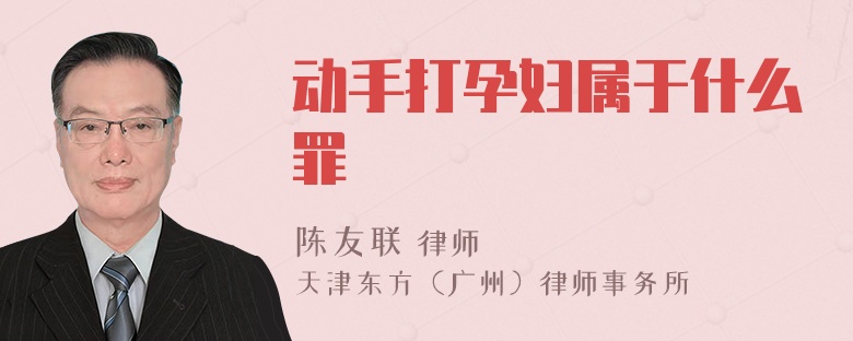 動(dòng)手打孕婦屬于什么罪