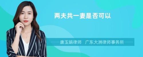 兩夫共一妻是否可以