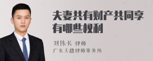 夫妻共有財產共同享有哪些權利