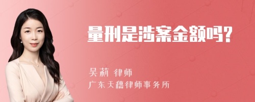 量刑是涉案金額嗎?