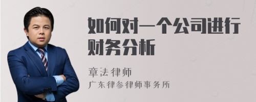 如何對一個公司進行財務分析