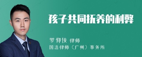 孩子共同撫養(yǎng)的利弊