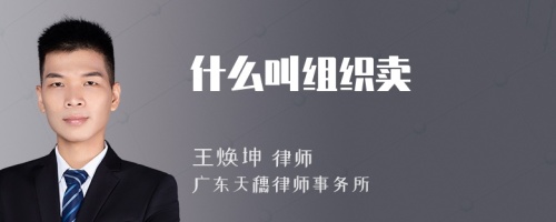 什么叫組織賣婬